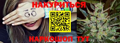 гашик Донецк