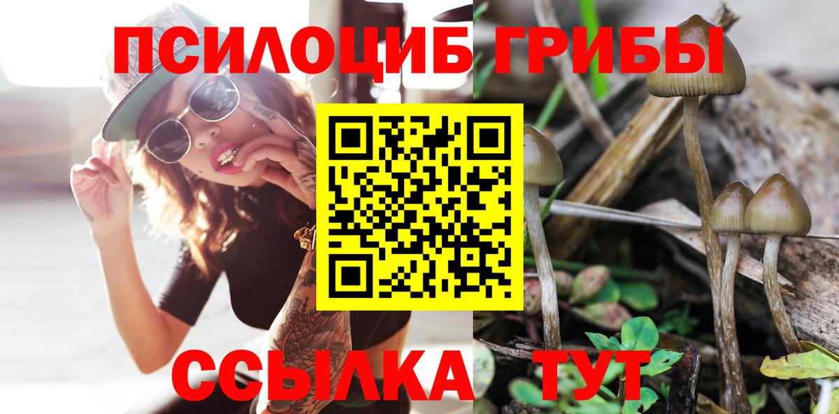 Галлюциногенные грибы Psilocybe  Галлюциногенные грибы Psilocybine cubensis  Чусовой  Вход с VPN 